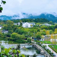 御厨轩天麻土鸡汤 User Photo