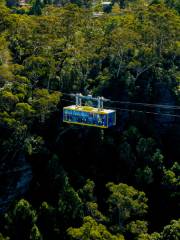 Scenic Skyway