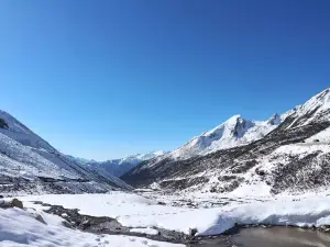 雅姆热藏餐