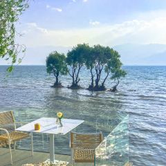 阿凯缇娅·安止樱落海景度假酒店·一间海景餐厅 User Photo