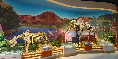 浦北縣博物館