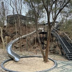 青芷森林·咖啡店 User Photo