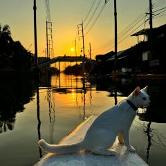 Si Yaek Huatakhe Cafe & Guesthouse User Photo
