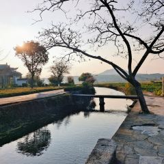 阿古吉缅甸茶餐厅 User Photo