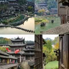 炎黃茶館張用戶圖片