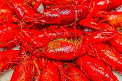 卤一扒·卤煮龙虾海鲜(新津店)