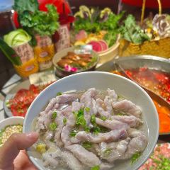 朱光玉火锅馆(绵阳万达店) User Photo