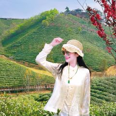 WEN XIN CHA ZHUANG YUAN User Photo