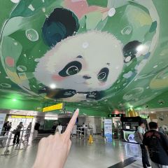 百万卤鹅重庆菜馆·家宴旗舰店(动物园店) User Photo