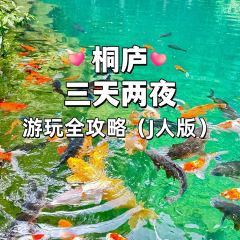 胖婆飯店張用戶圖片