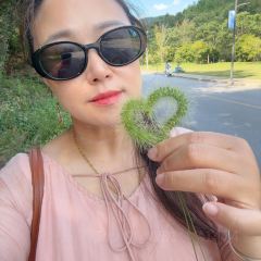 YAO HE SHAN LI CAI User Photo