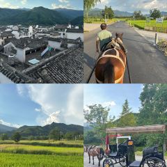 BAI YUN User Photo