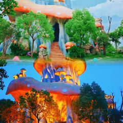 Little Panda Restaurant User Photo