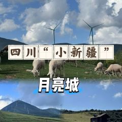 骆大姐手摊凉粉 User Photo