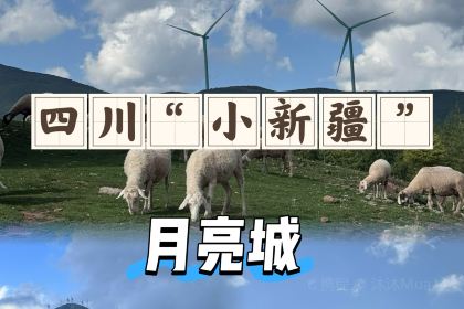 骆大姐手摊凉粉