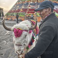 天山天池民俗风情园 User Photo