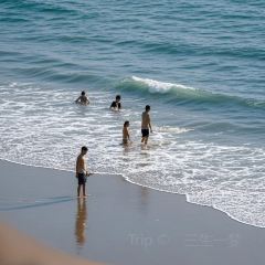 农夫码头海鲜排档(南澳店) User Photo