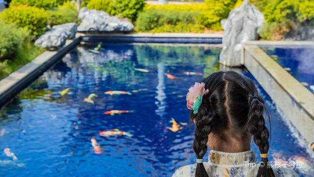 zhong guo xian you chen xiang bo wu guan