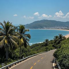 自然椰·海南清补凉(青春颂店) User Photo