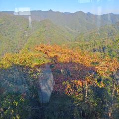 SAN BAO BIE YUAN REASTAURANT User Photo