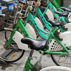 Weiweimushugeng 여행 사진