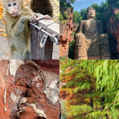 DOU XIANG SHI User Photo