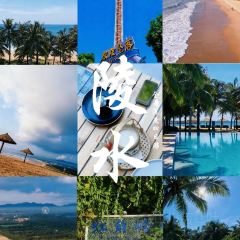 徐福记湛江烤生蚝 User Photo