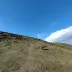 太子咖啡冰可乐