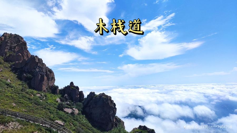 德庄火锅(东方街店)