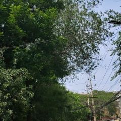大興街扣碗包子館張用戶圖片