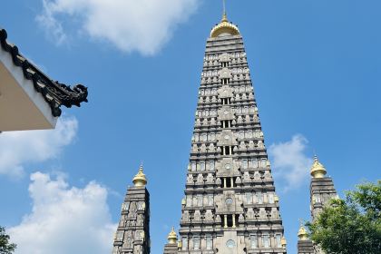 FU QI QIAO MIAN GUAI WEI SHUI JIAO