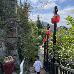 半浮生茶院 User Photo