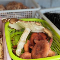 瓦珍野菜馆 여행 사진