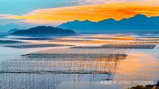 霞浦灘涂