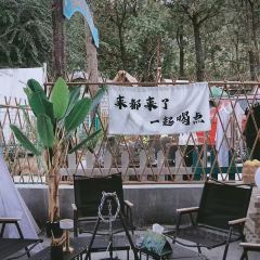 东篱山庄 User Photo