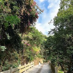 山房食光私房菜 User Photo