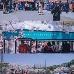 無邪張用戶圖片