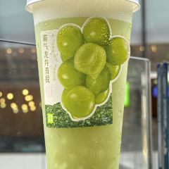 奈雪的茶(时代天街店) User Photo