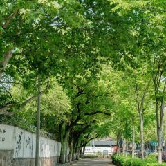 秀珍面馆·蟹面(海宁长安人民路店) User Photo