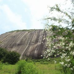 龙山餐厅 User Photo
