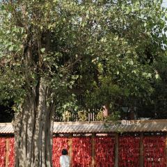 蜜悦·秘野仙踪半山森林餐厅 User Photo