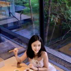 SHINKAI 여행 사진
