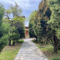 噶达庄园(【生态园店】) User Photo