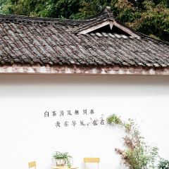 凡塔夕 User Photo
