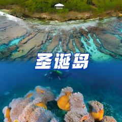 Golden Bosun Tavern張用戶圖片