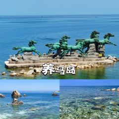 LANG COFFEE User Photo