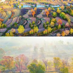 Sage Hall Homestay User Photo