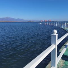 观湖台 User Photo