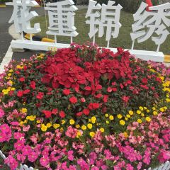 保亭双大野奢温泉酒店·餐厅 User Photo