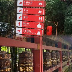 Yong Juan Hin Coffee Shop 永泉兴传统海南咖啡店 User Photo